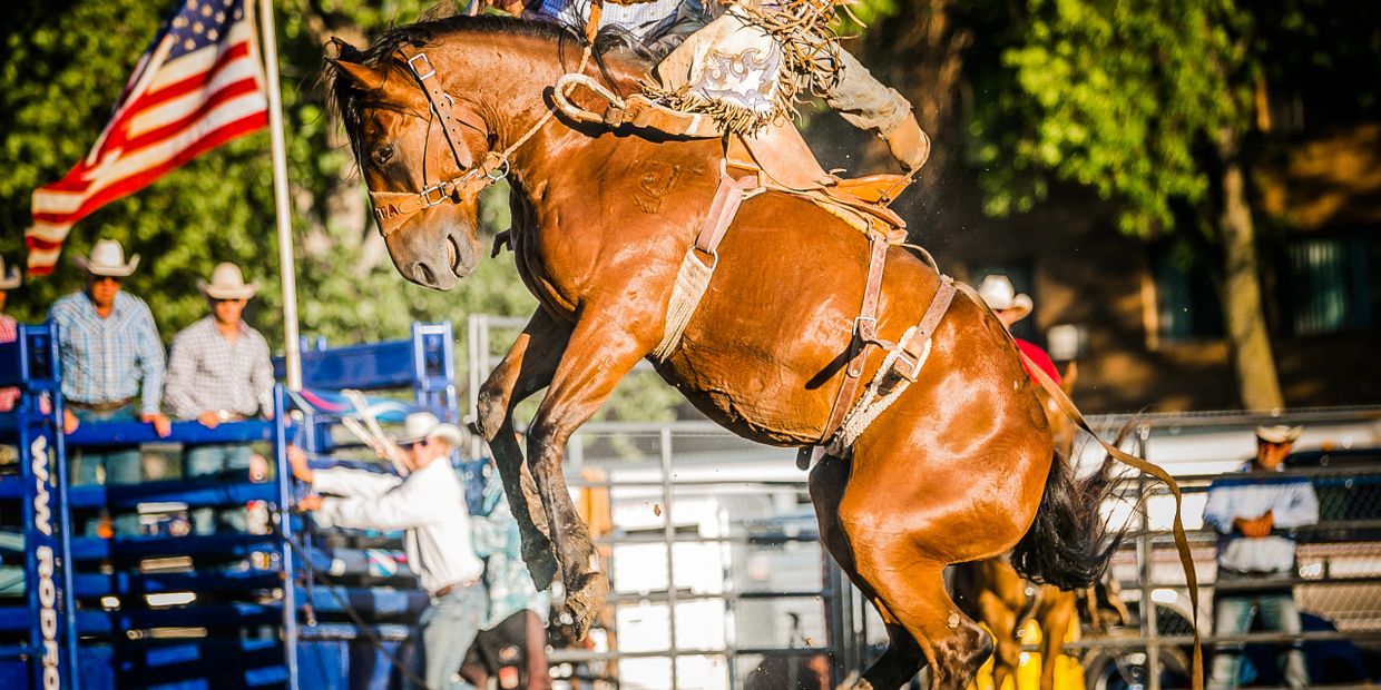 Dakota Rodeo Rodeo Contractor, Rodeo, Prca, Pro Rodeo